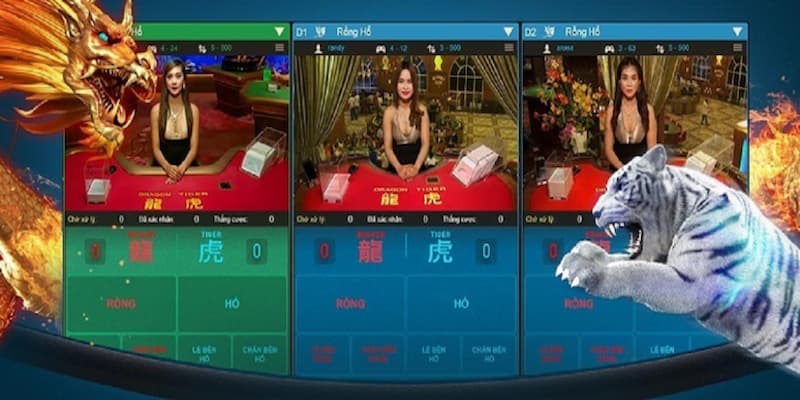 Các mẹo chơi rồng hổ nâng cao kỹ thuật cho người chơi