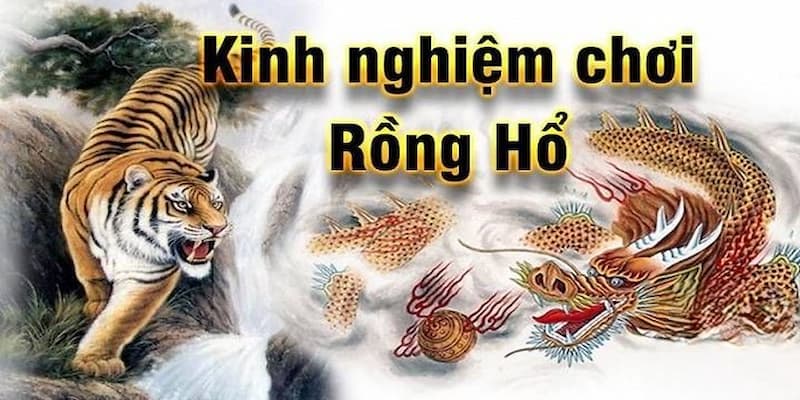 Tại sao nên áp dụng mẹo chơi rồng hổ
