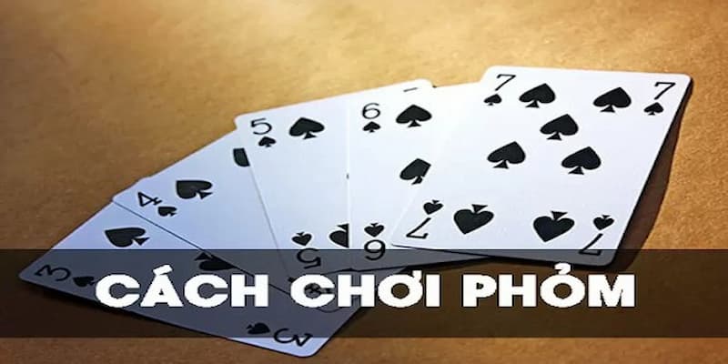 Tổng quan về bài phỏm và sức hút tại Net88
